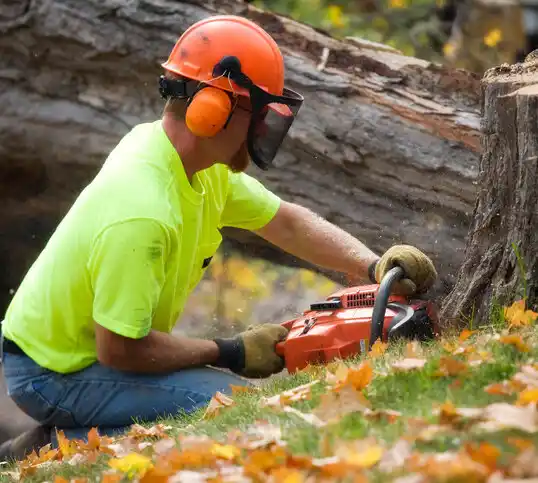 tree services Dana